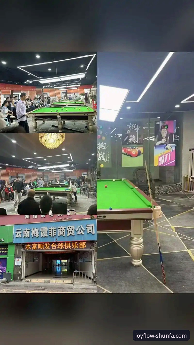 顺发娱乐最新版本 顺发娱乐平台最新版本使用指南:从下载到高效操作完整教程